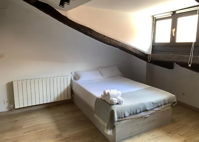 Precioso Atico En Casco Viejo Habitación en casa particular Bilbao