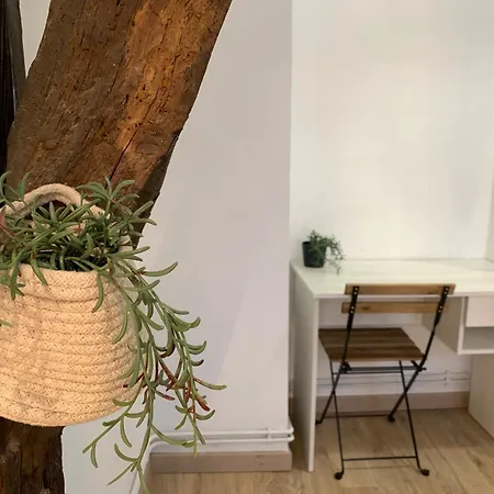 Precioso Atico En Casco Viejo